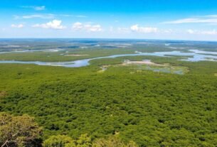 belezas-do-pantanal-que-voce-precisa-conhecer-agora-mesmo